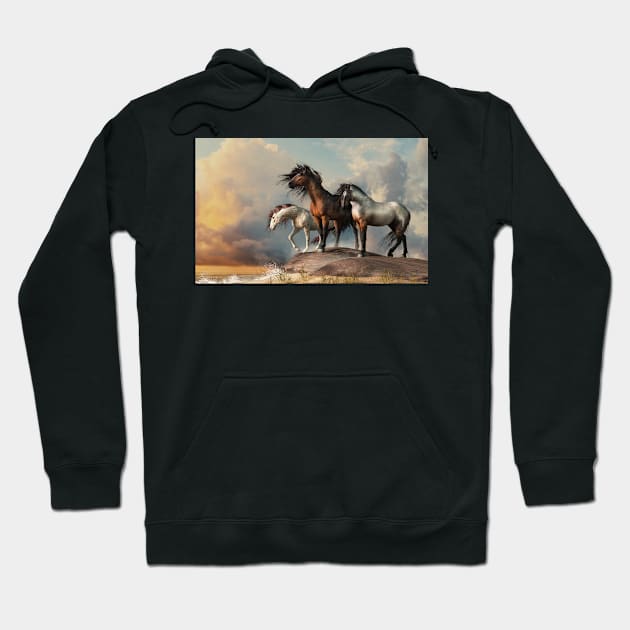 Three Horses at the Beach Hoodie by DanielEskridge